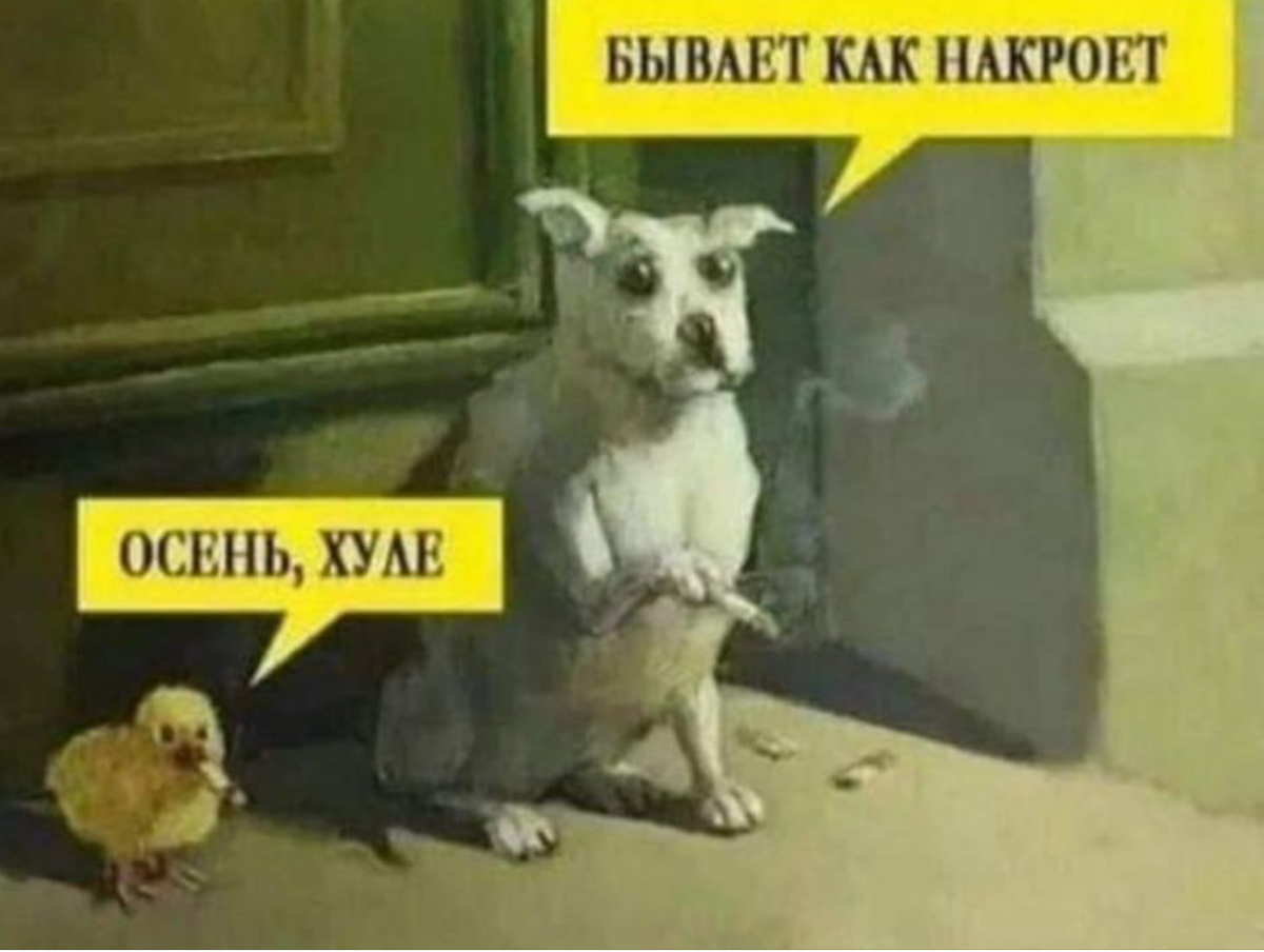 У вас тоже грустное настроение осенью? | Сетка — социальная сеть от hh.ru