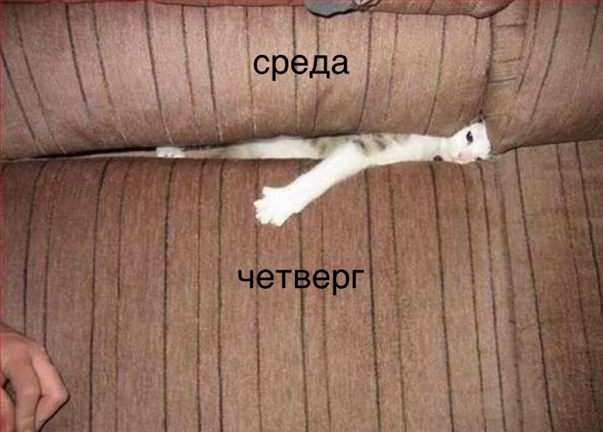 Держитесь работяги | Сетка — социальная сеть от hh.ru