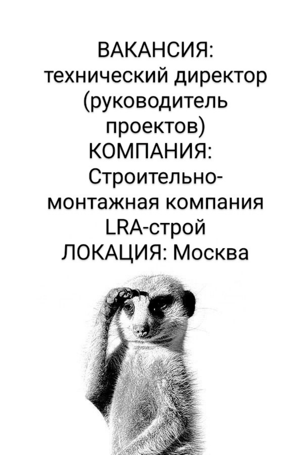 ВАКАНСИЯ: технический директор (руководитель проектов)
КОМПАНИЯ: в динамично-развивающуюся строительно-монтажную компанию LRA-строй
ЛОКАЦИЯ: Москва
ЗАДАЧИ:

Инициировать и сопровождать процесс разрабо... | Сетка — социальная сеть от hh.ru