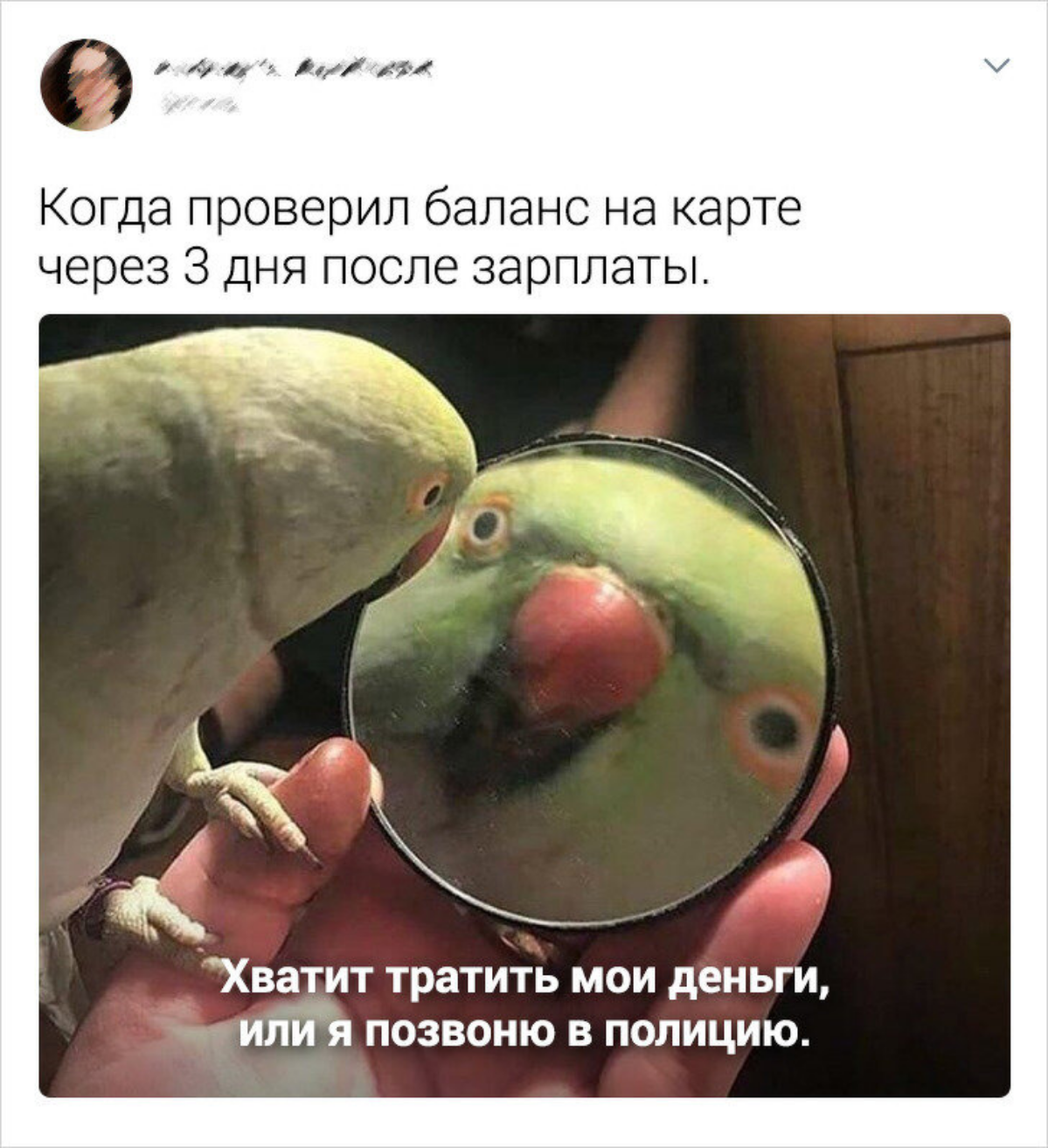 Умный человек отличается от прочих:
1. Чувством юмора (в т.ч. самоиронией)
2. Пониманием своих реальных возможностей (понимает, чего он не может)
3 | Сетка — социальная сеть от hh.ru