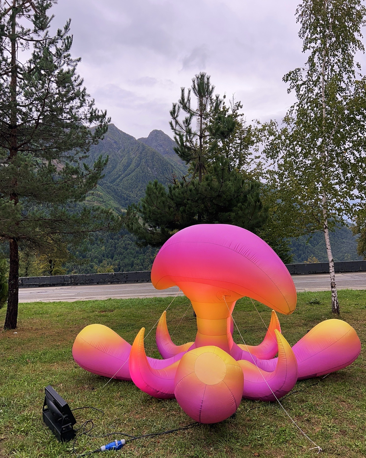 #нетворкингвгорах
Сейчас я работаю в одном из самых крупных и известных музеев страны) | Сетка — социальная сеть от hh.ru