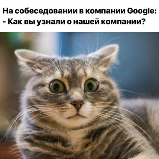 #личныйопыт
По обе стороны интервью ч.2
Позиция рекрутера ч | Сетка — социальная сеть от hh.ru