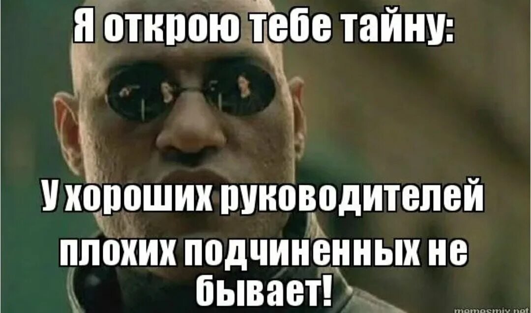 А вы согласны? | Сетка — социальная сеть от hh.ru
