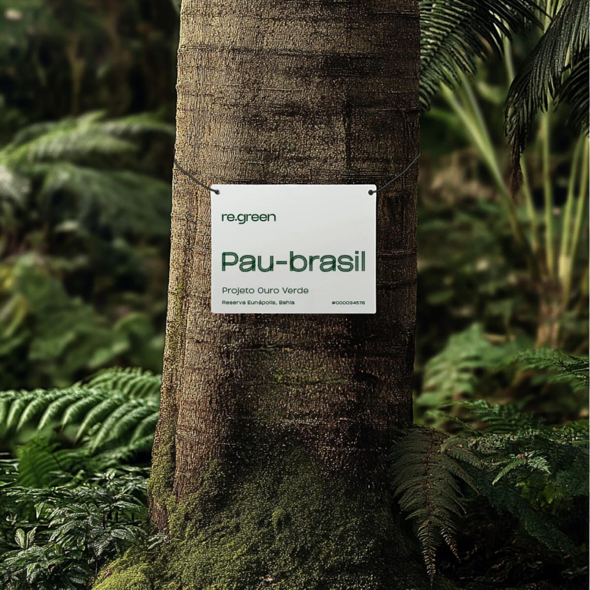 Лесная типографика | Сетка — социальная сеть от hh.ru