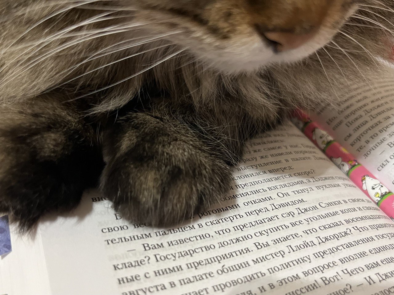 🌟🌟 на примере Артура Кронин нам раскрывает вечную, как мир проблему - возможно ли построить рай на Земле?
его отец - хладнокровный бизнесмен, владелец шахты, откровенно наживался на рабочих в период П... | Сетка — социальная сеть от hh.ru