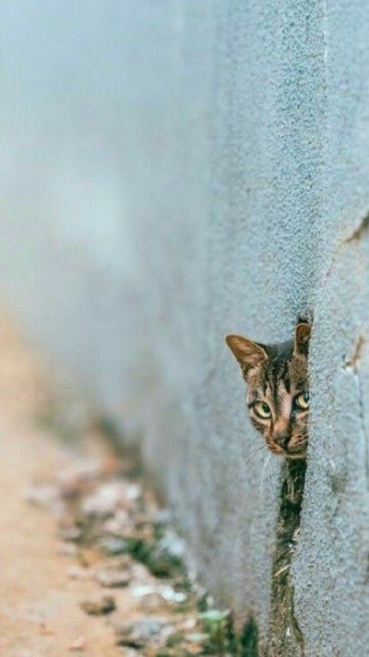 Наша упрощённая жизнь.
1.Написала письмо по электронной почте, нажала ENTER... жду ответа.... А это не Telegram, WhatsApp
2 | Сетка — социальная сеть от hh.ru