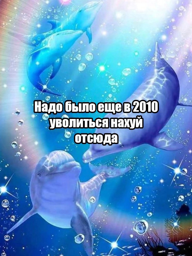 ➡️ отправь коллеге мем в телеге | Сетка — социальная сеть от hh.ru