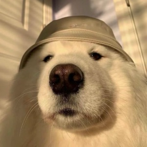 Матвей Васильченко | Сетка — социальная сеть от hh.ru