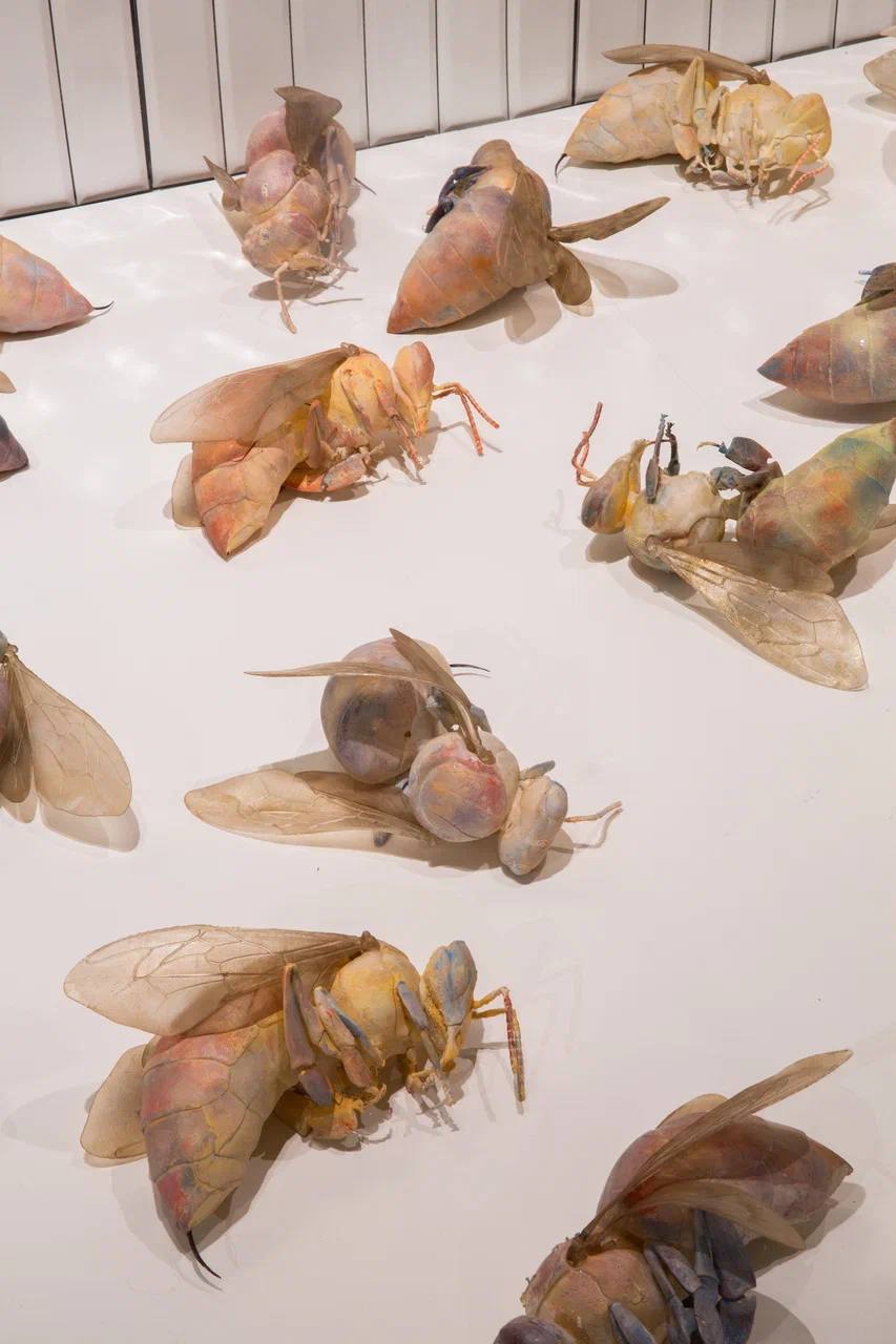🐝 Бесплатная выставка «Зона пчел» открылась в галерее Триумф
До 24 октября
С 11:00 до 20:00
На выставке проводится параллель между сообществами людей и пчел, демонстрируя сходства в их структурах: от ... | Сетка — социальная сеть от hh.ru