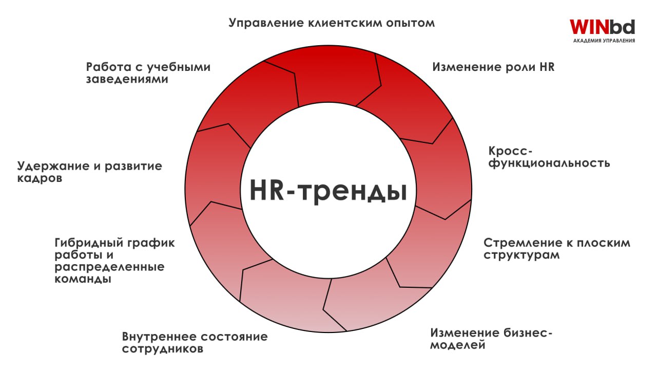 Тренды на рынке труда
Мы в Академии управления WINbd создаем корпоративные программы обучения для управленческих команд и топ-менеджмента | Сетка — социальная сеть от hh.ru
