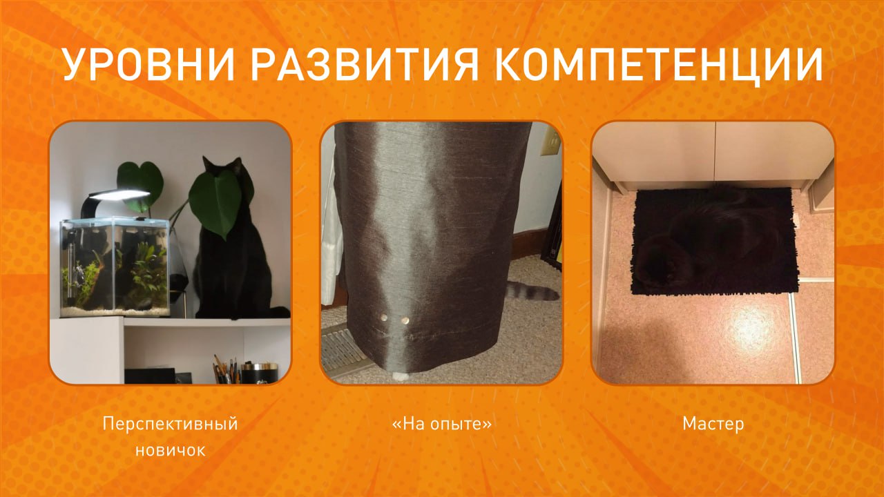 💡 Говорим нет командному хаосу!
Как эффективно управлять IT-командой, которая выросла из размера «двух пицц»? И главное — как поддерживать её результативность?
Часто регламентация рабочих процессов пр... | Сетка — социальная сеть от hh.ru