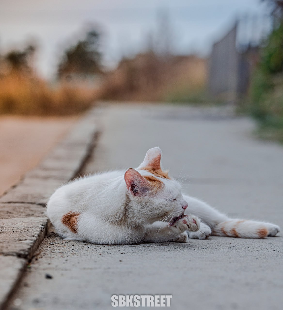 Какой милый котик 😻
❤️ sbkstreet | 🔵дать буст каналу | Сетка — социальная сеть от hh.ru
