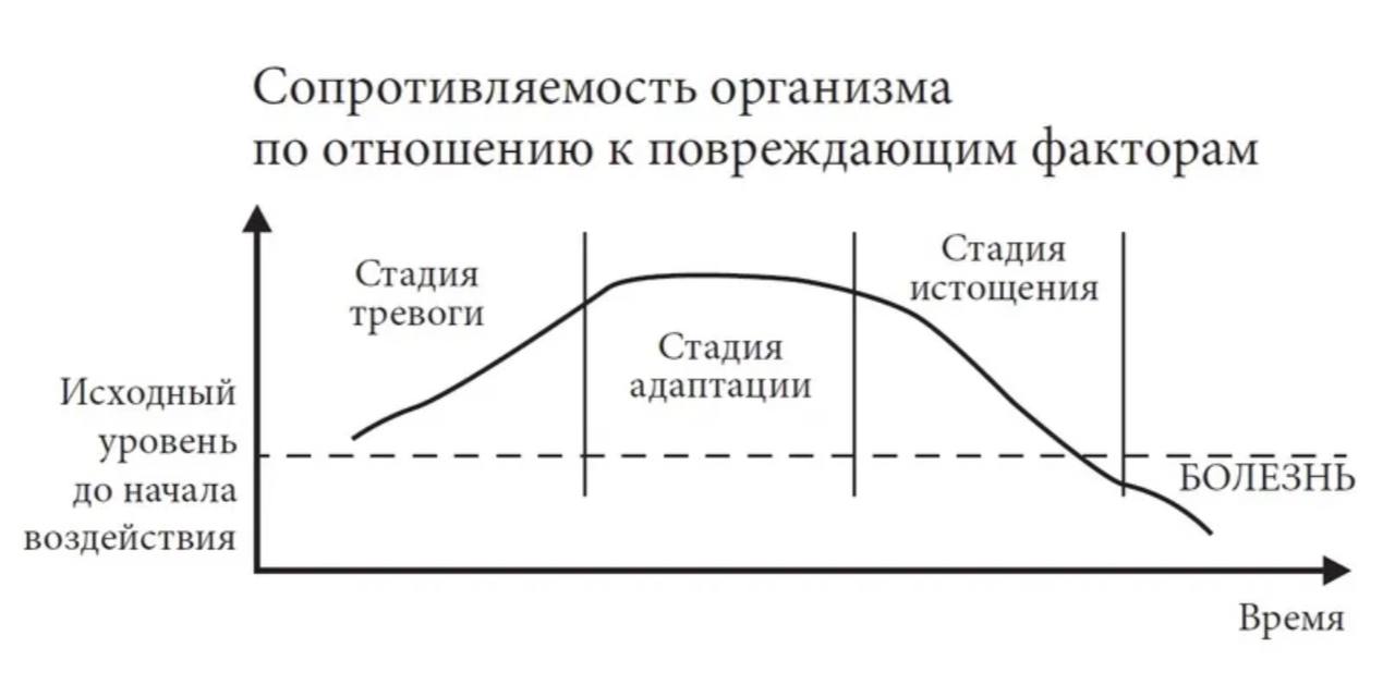 Вот в чем настоящий провал игры Hamster KombatЗа 7 дней Бог создал наш мир. За 7 секунд я разрушил свой | Сетка — социальная сеть от hh.ru