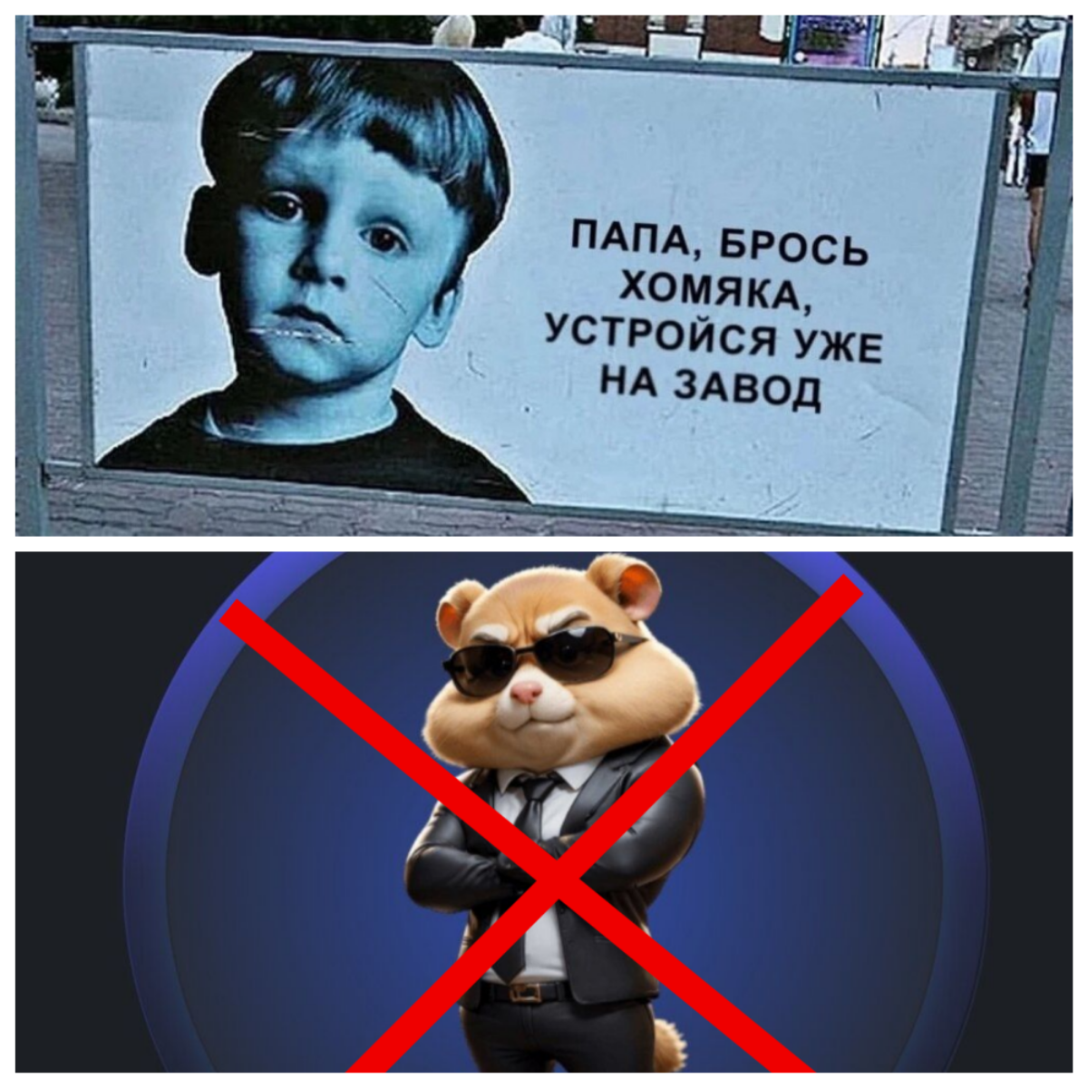 Как хомяк оказался умнее людей | Сетка — социальная сеть от hh.ru