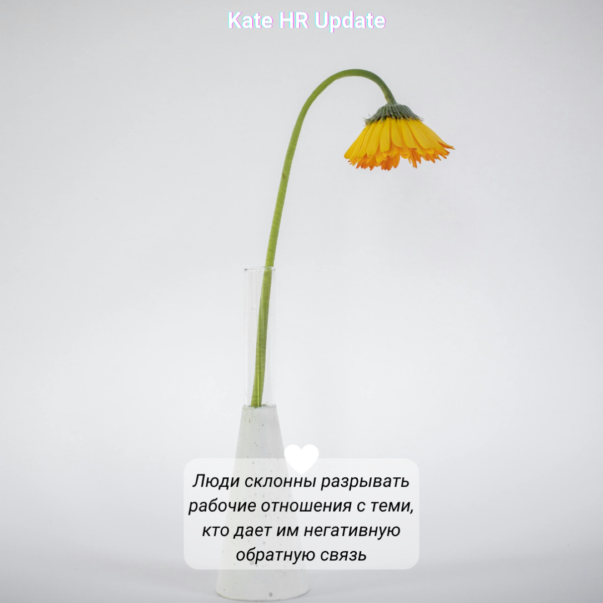 # Не только хорошее
Подумайте сейчас о людях на работе, которых можно назвать участниками вашей личной сети – тех, кто помогает вам добиваться лучших результатов в сложных проектах или эмоционально по... | Сетка — социальная сеть от hh.ru
