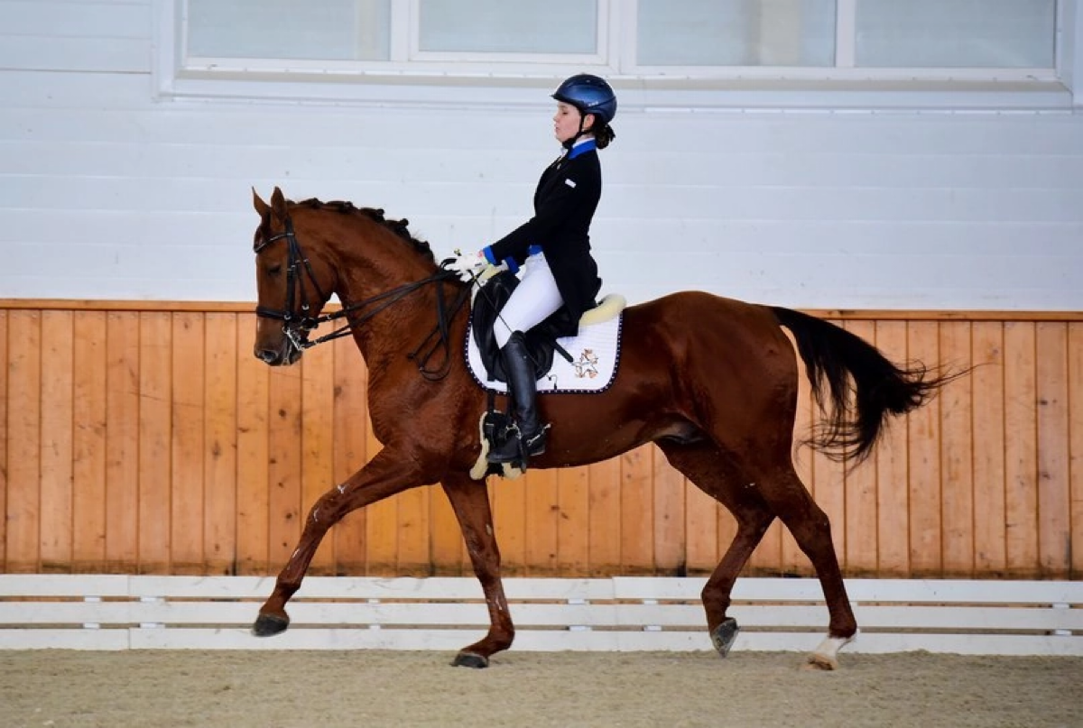 Всем привет!  
Меня зовут Ангелина, мне 25 лет. И я учу детей и взрослых общению с лошадьми, обучаю ВЕРХОВОЙ ЕЗДЕ🏇
Тренер по КОННОМУ СПОРТУ🐎 Люблю свое дело🥰  
Образование:
- РГАУ-МСХА им К. А | Сетка — социальная сеть от hh.ru