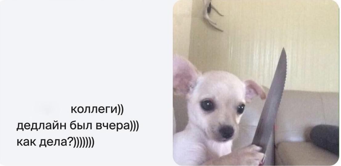 Я иногда 🗣
Лайфхак и совет: не доводите до того, что вас заказчик спрашивает «как дела, коллеги!?». Лучше заранее скажите, что не успеваете, почему не успеваете и когда принесёте результат ✍️ | Сетка — социальная сеть от hh.ru