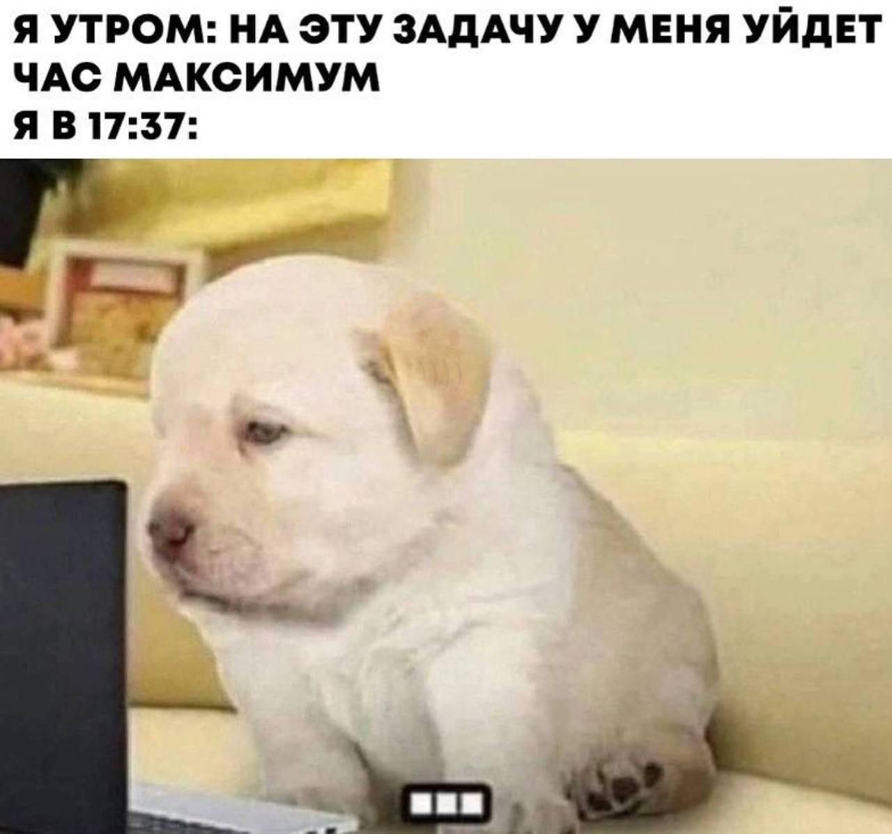 У кого также? #пятничное
Я, когда готовлю презу к докладу
Читайте  👋Заметки 1Сницы | Сетка — социальная сеть от hh.ru