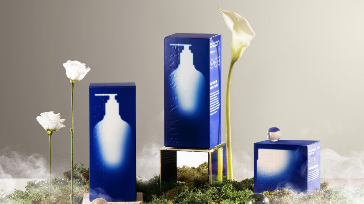 Тайное желание | Сетка — социальная сеть от hh.ru