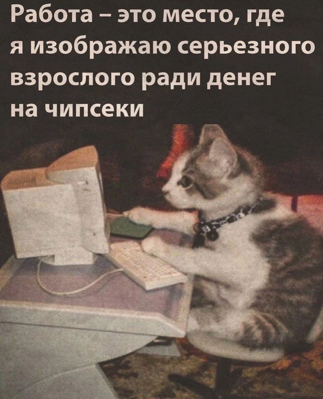 ➡️ отправь коллеге мем в телеге | Сетка — социальная сеть от hh.ru