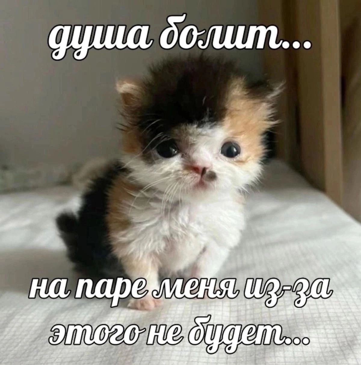 Совместить учёбу и работу над пет-проектом — задача не из лёгких, но вполне выполнимая | Сетка — социальная сеть от hh.ru
