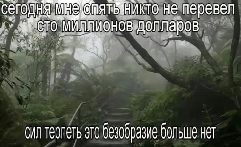 ➡️ отправь коллеге мем в телеге | Сетка — социальная сеть от hh.ru