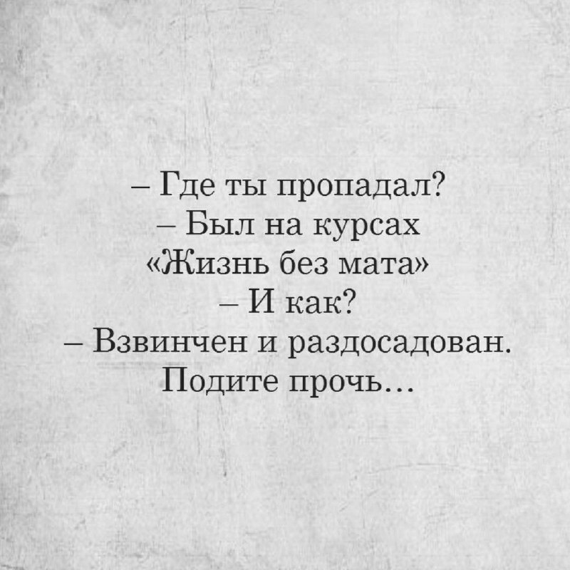 Собрали все посты недели в один:
➡️ устранит ли развитие ИИ необходимость изучения иностранных языков?
➡️ что такое онбординг
➡️ зарплаты IT-специалистов в Германии
➡️ как облегчить себе процесс адапт... | Сетка — социальная сеть от hh.ru