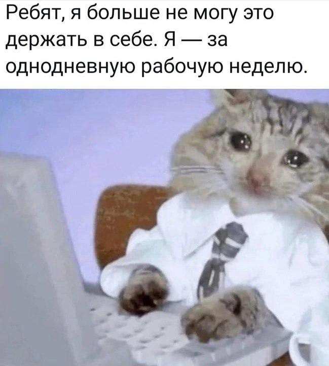 Собрали все посты недели в один:
➡️ устранит ли развитие ИИ необходимость изучения иностранных языков?
➡️ что такое онбординг
➡️ зарплаты IT-специалистов в Германии
➡️ как облегчить себе процесс адапт... | Сетка — социальная сеть от hh.ru