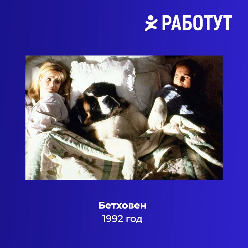-Ты слушаешь Бетховена?😌
-А разве собаки умеют разговаривать?🤨
Решили сделать для вас подборку комедий, которые уже стали настоящей классикой!
Предлагаем пересмотреть их на этих выходных (а может кто-... | Сетка — социальная сеть от hh.ru