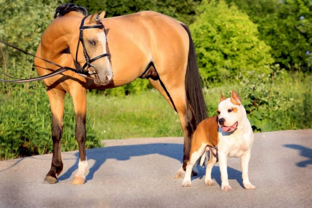С Днём Рождения!!! Желаю тебе всего самого самого лучшего!!! | Сетка — социальная сеть от hh.ru