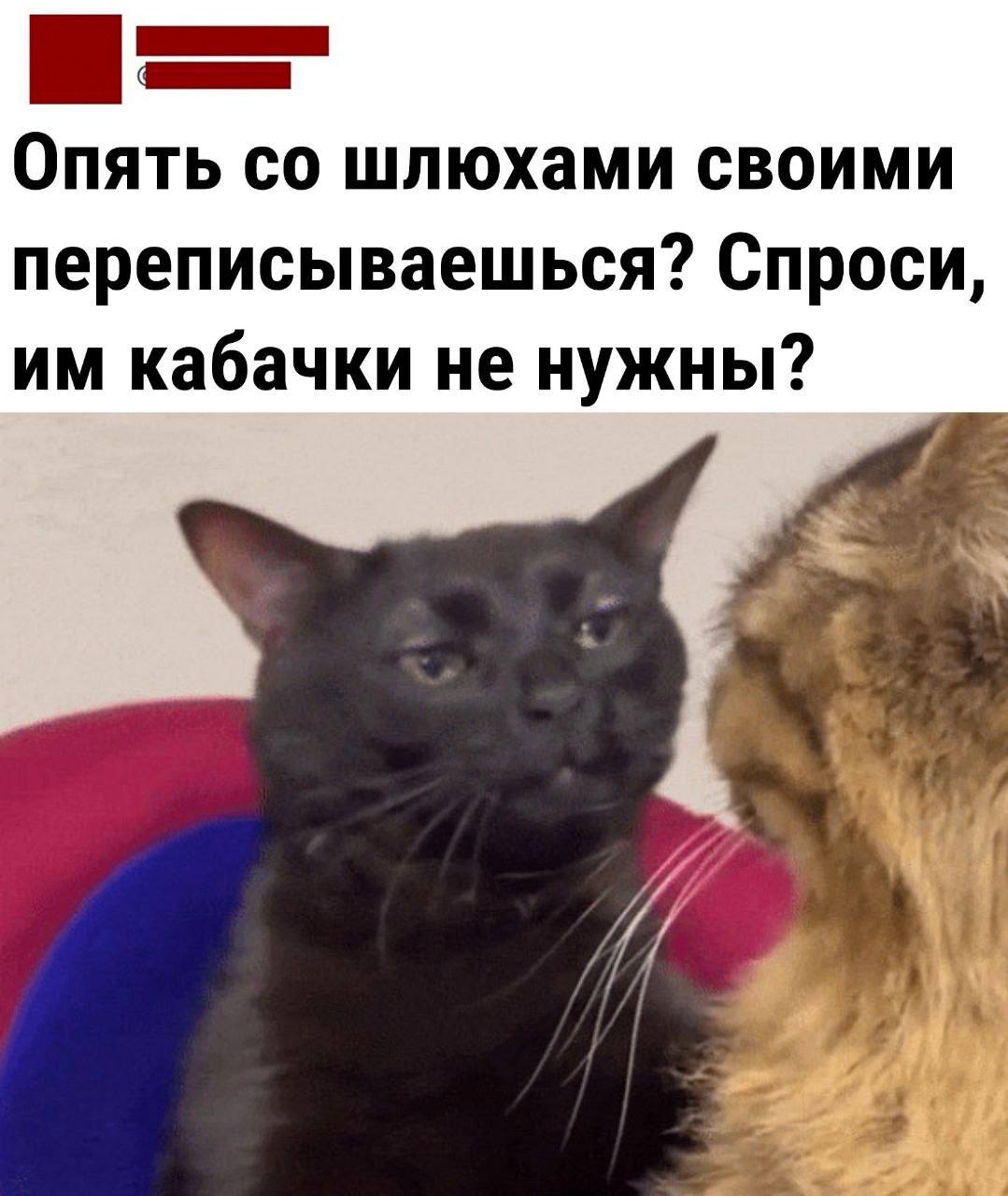 У меня отпуск. Мозг превращается в кисель.
Сегодня я устроила концерт. Вместо зрителей у меня был трехнедельный ребенок. Вместо микрофона — молокоотсос.
Поэтому вместо контента сегодня будут мемы | Сетка — социальная сеть от hh.ru