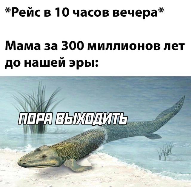 У меня отпуск. Мозг превращается в кисель.
Сегодня я устроила концерт. Вместо зрителей у меня был трехнедельный ребенок. Вместо микрофона — молокоотсос.
Поэтому вместо контента сегодня будут мемы | Сетка — социальная сеть от hh.ru