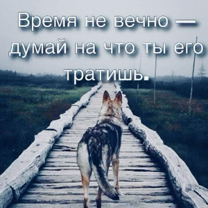 Мухсин Ахмедов