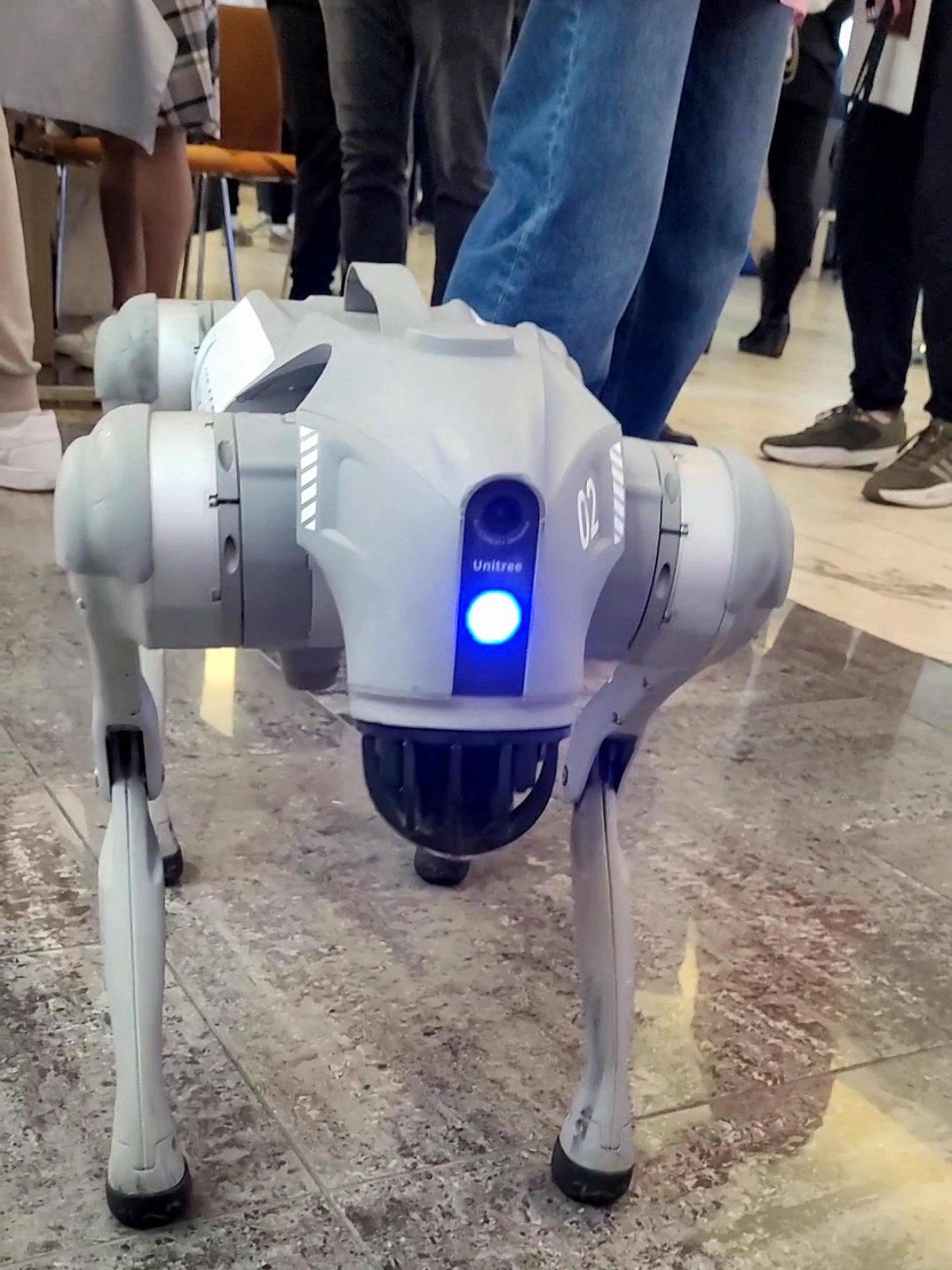 Вернулась с it-конференции под впечатлением от робопитомца 🐩 и доклада Алины Ермаковой и Насти Дюрягиной (Сбер платежи) про анализ существующих продуктов и подход disrupt | Сетка — социальная сеть от hh.ru