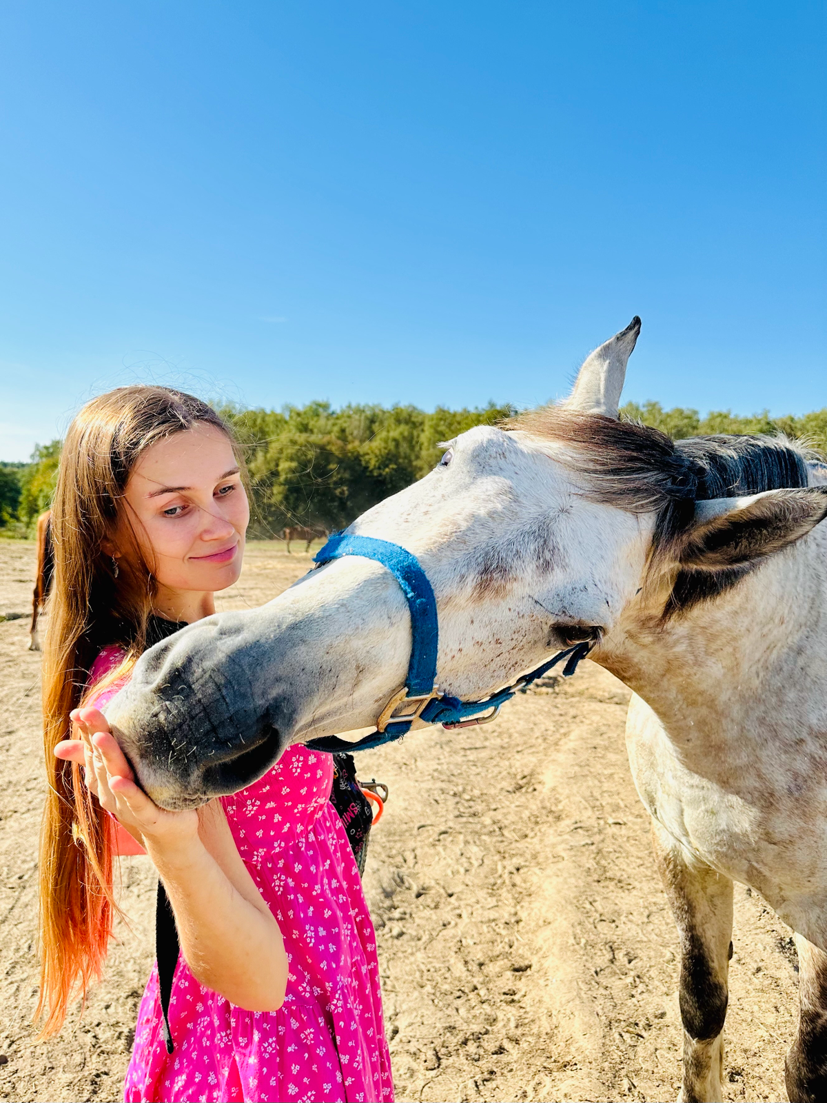 Нежные фотосессии￼ с ласковым Дарчиком🦄 | Сетка — социальная сеть от hh.ru