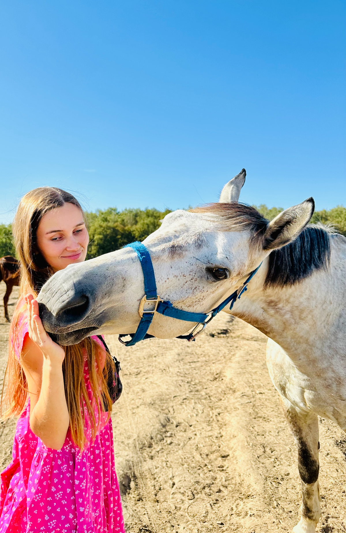 Нежные фотосессии￼ с ласковым Дарчиком🦄 | Сетка — социальная сеть от hh.ru