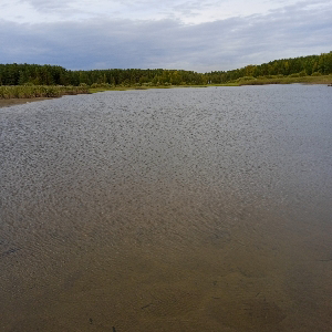 Сергей Климов | Сетка — социальная сеть от hh.ru