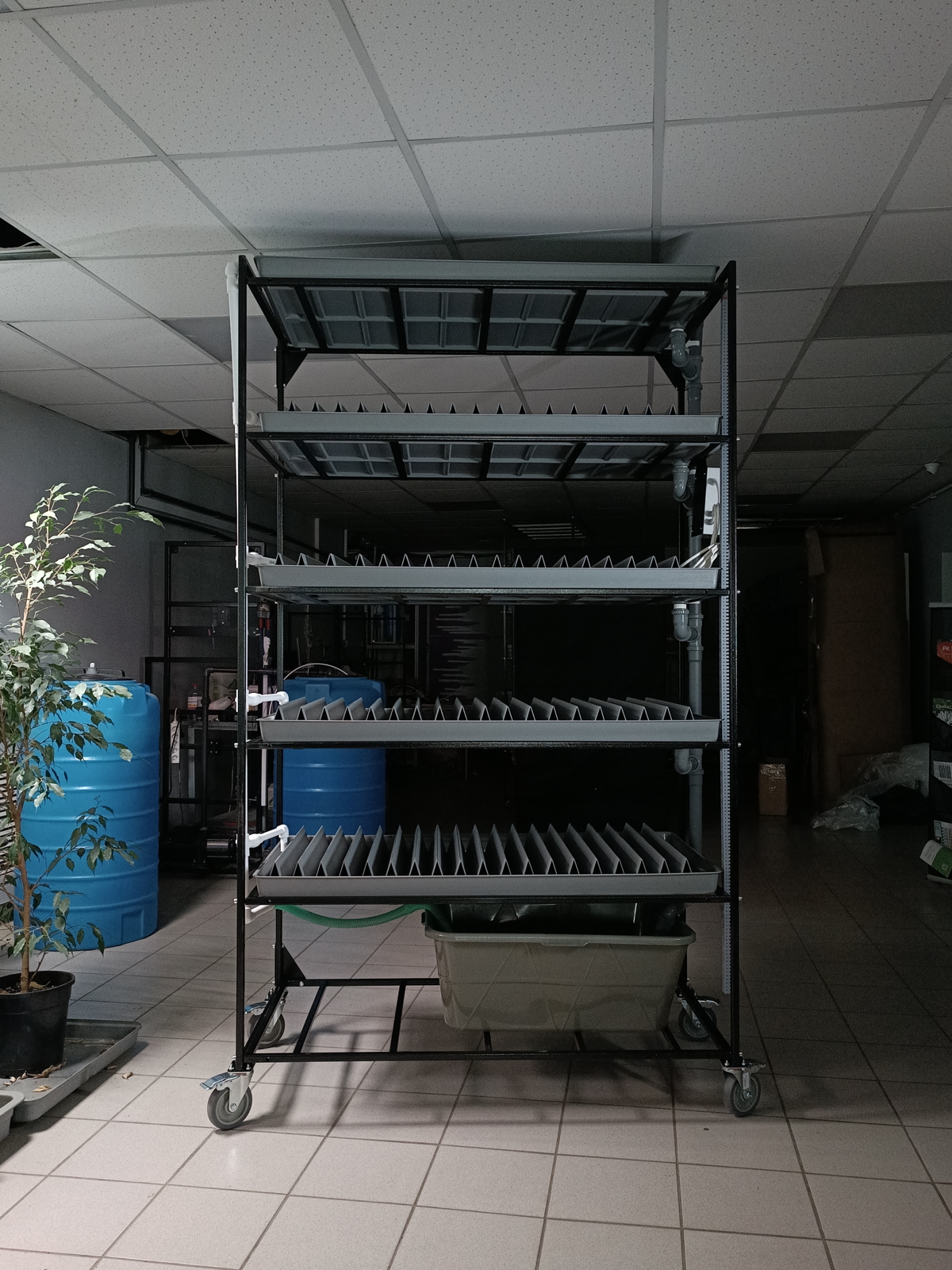 Новинка!
Компания Reogen (Daogen😃) @AlexeyReogen совместно с @Daogreen разработала и собрала первый и уникальный стеллаж в России для выращивания цикорного салата по заказу клиента) с полной автоматик... | Сетка — социальная сеть от hh.ru