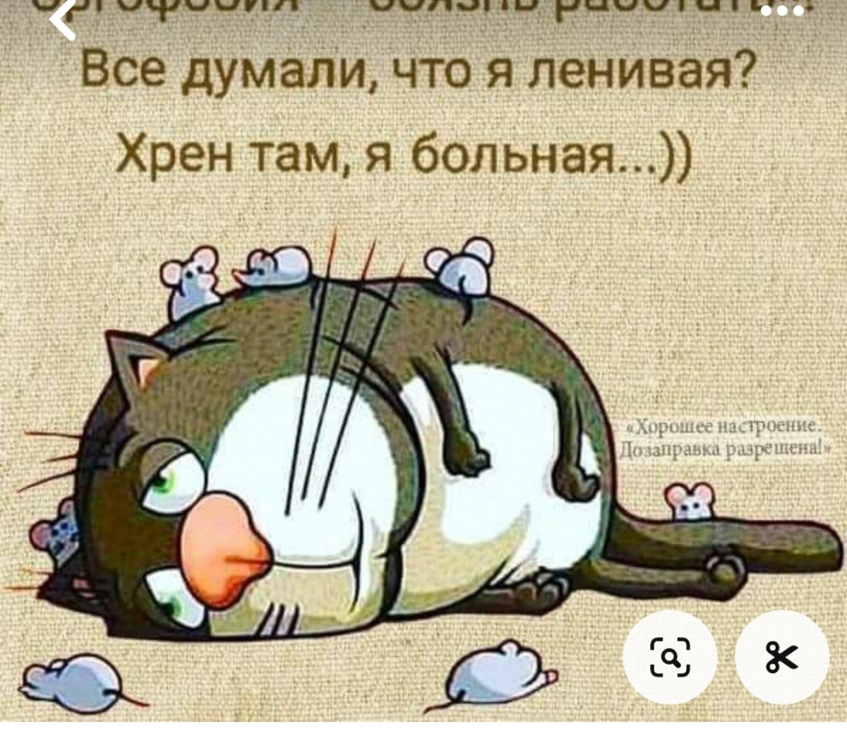 Я нашла оправдание своей лени.Но вот возник вопрос:Лень двигатель прогресса.Лентяи изобретатели.Это другая разновидность лени?А какая лень у вас?Может есть ещё разновидности лени. | Сетка — социальная сеть от hh.ru