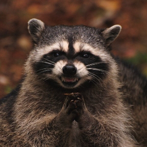 Лелик Саныч