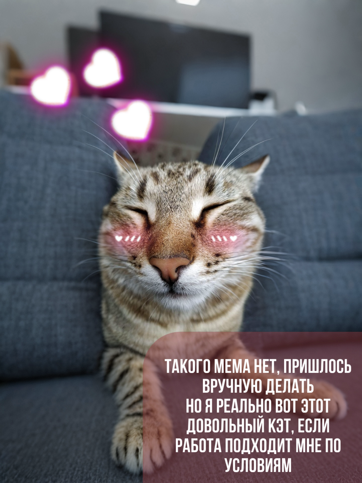 Хеллоу гайс энд гёрлс! Кто-то ищет видеографа с хорошим опытом и свободным владением английского? 👀✨ Или джуна smmщика? 🤓 | Сетка — социальная сеть от hh.ru
