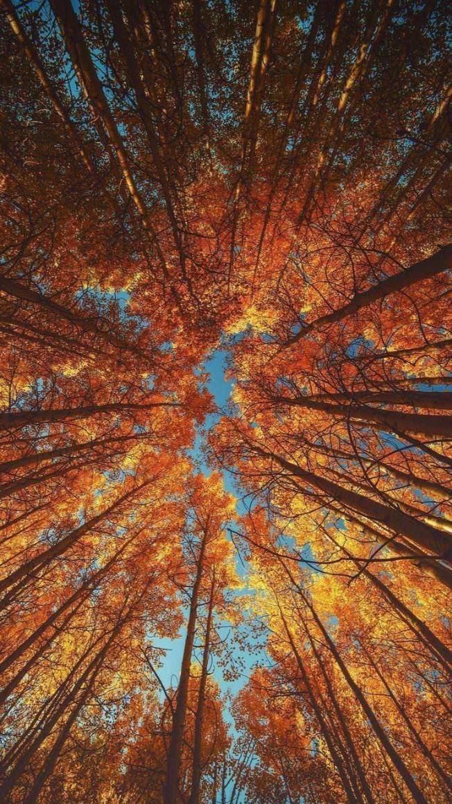 Ну вот и солнышко выглянуло 🌞
Хорошего вам настроения в эти осенние выходные ♥ | Сетка — социальная сеть от hh.ru