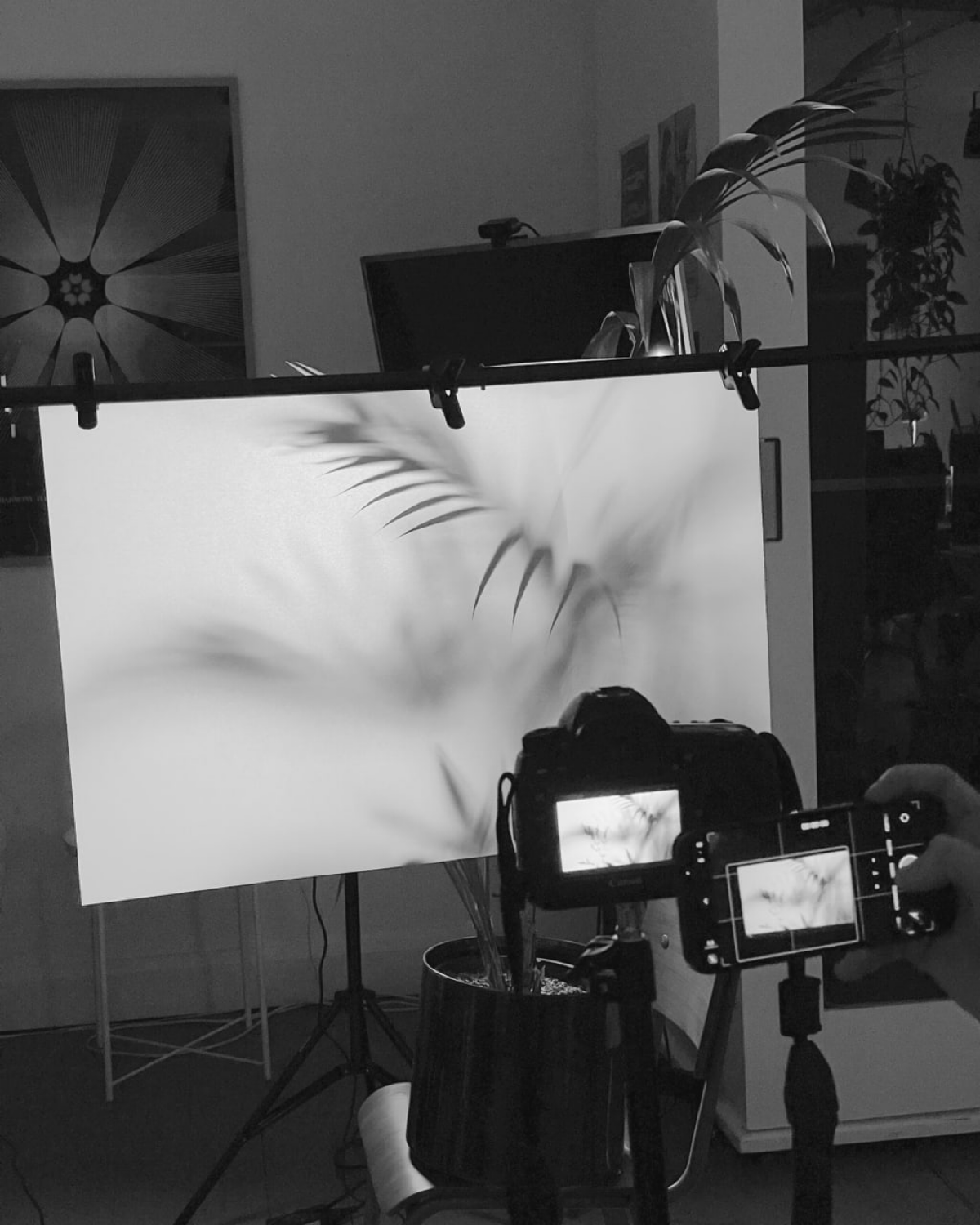 В догонку предыдущему посту — ещё пример фотостиля, который выглядит таинственно благодаря частично размытым деталям.  
#фотостиль | 🔗кейс https://clck.ru/3DZNd9 | Сетка — социальная сеть от hh.ru