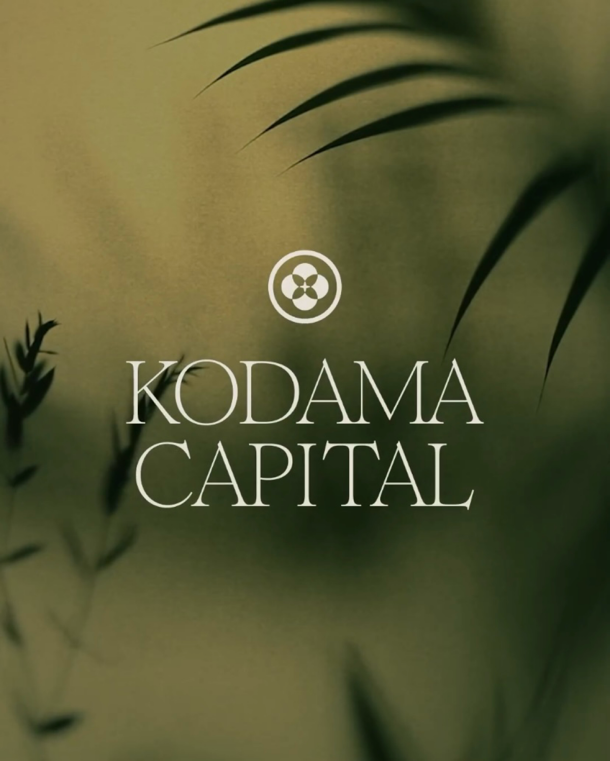 В догонку предыдущему посту — ещё пример фотостиля, который выглядит таинственно благодаря частично размытым деталям.  
#фотостиль | 🔗кейс https://clck.ru/3DZNd9 | Сетка — социальная сеть от hh.ru