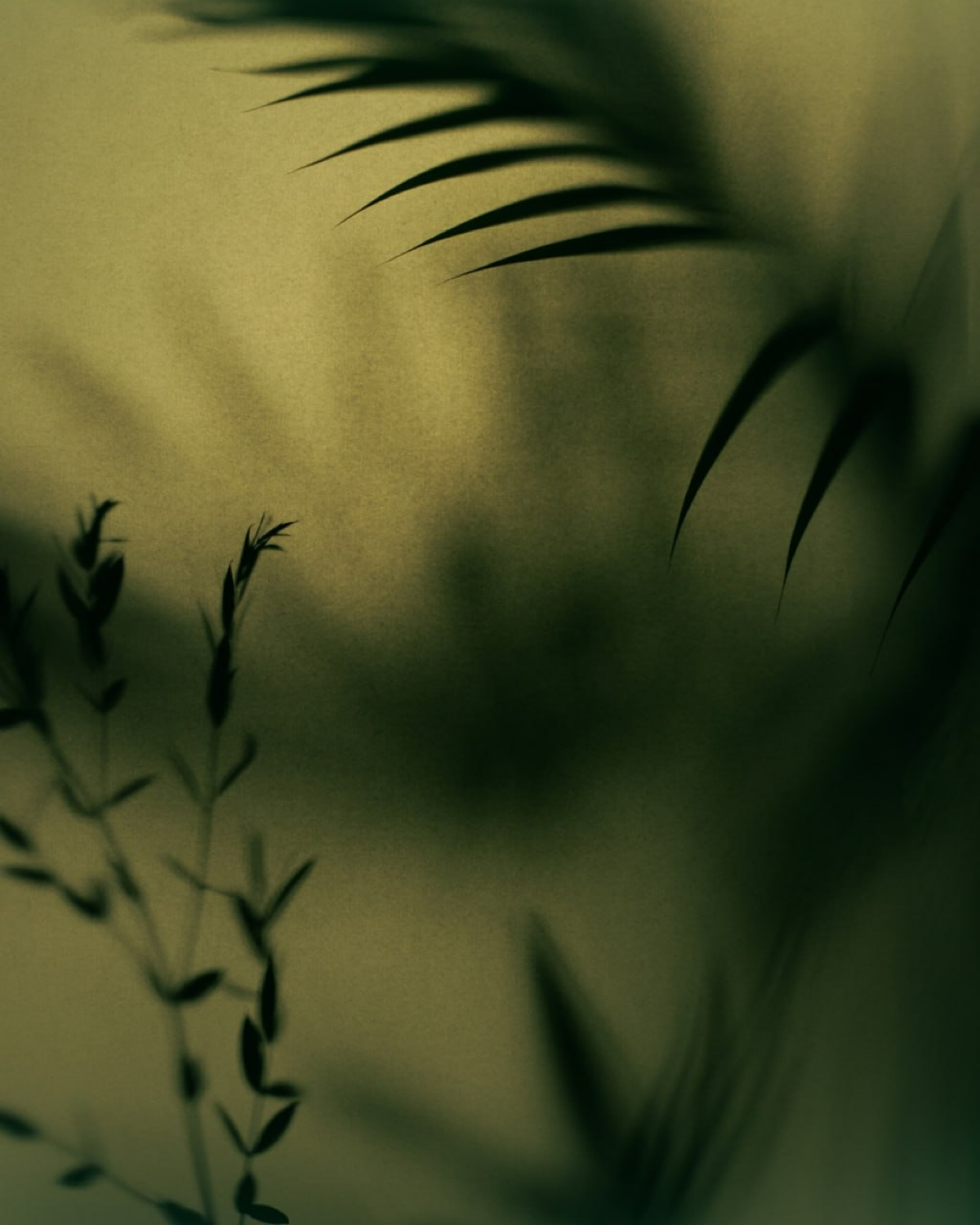 В догонку предыдущему посту — ещё пример фотостиля, который выглядит таинственно благодаря частично размытым деталям.  
#фотостиль | 🔗кейс https://clck.ru/3DZNd9 | Сетка — социальная сеть от hh.ru