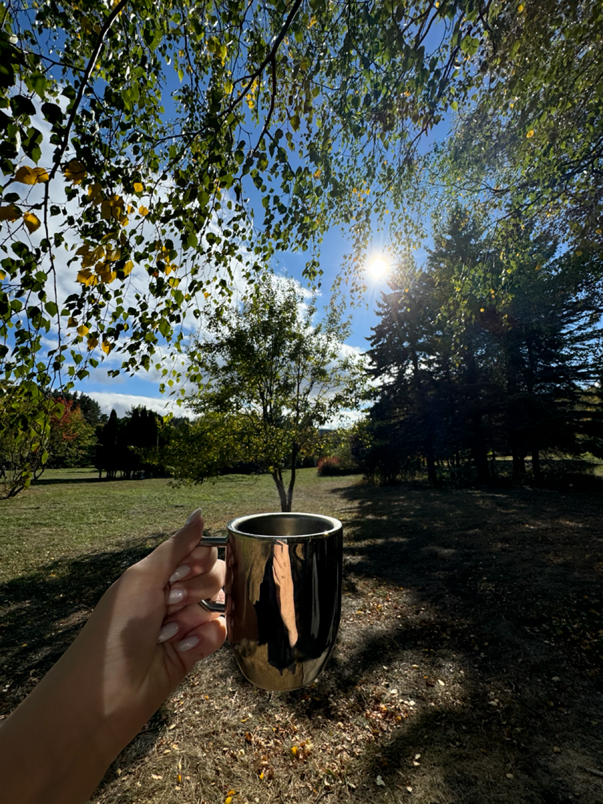 Осень 🍂😍 | Сетка — социальная сеть от hh.ru