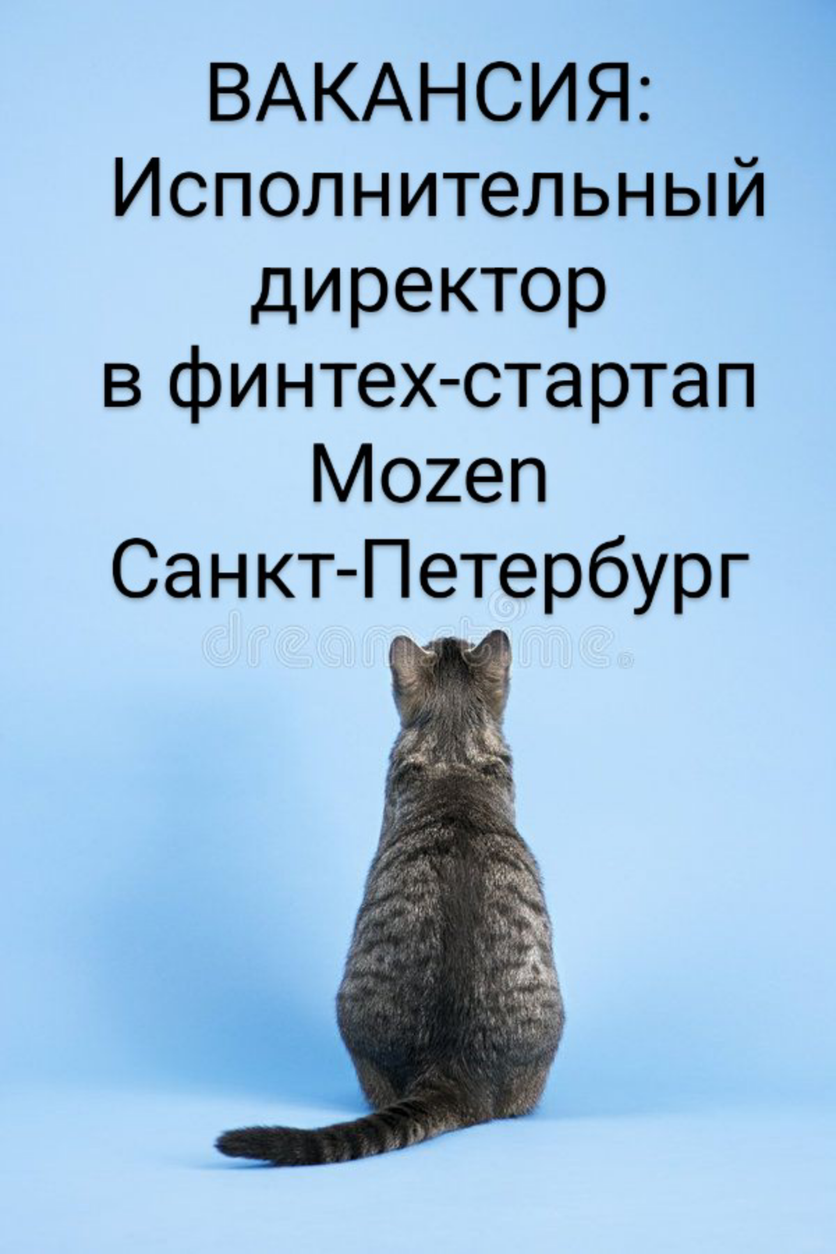 #ВАКАНСИЯ: Исполнительный директор
КОМПАНИЯ: в финтех-стартап Mozen
ЛОКАЦИЯ: Санкт-Петербург
MOZEN — это финтех-стартап по автоматизации моментальных выплат за поездки для такси и таксопарков | Сетка — социальная сеть от hh.ru