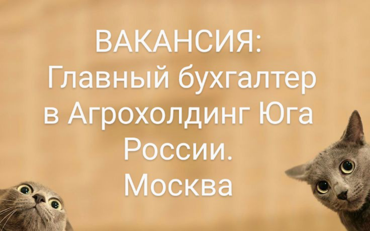 #ВАКАНСИЯ: Главный бухгалтер
КОМПАНИЯ: в Агрохолдинг Юга России.
ЛОКАЦИЯ: Москва
Опыт работы в агросфере будет вашим преимуществом.
ЗАДАЧИ:
• Контроль бухгалтерского учета группы компаний | Сетка — социальная сеть от hh.ru