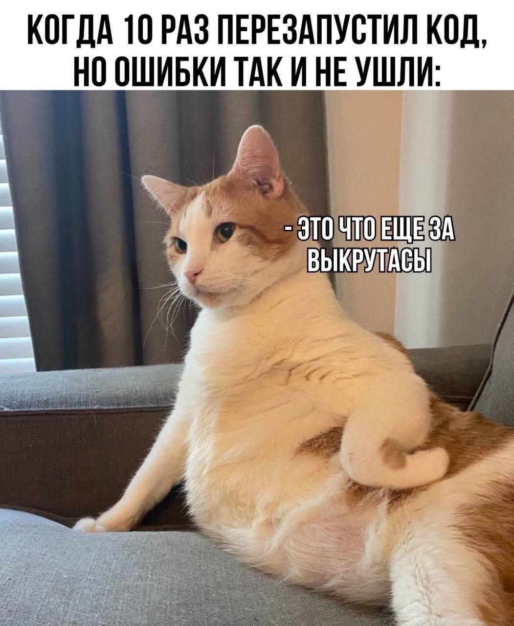 Хихикали сегодня с одногруппниками, а между тем это и было моей утренней проблемой😂 | Сетка — социальная сеть от hh.ru