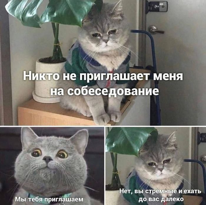 Ну мы?) | Сетка — социальная сеть от hh.ru